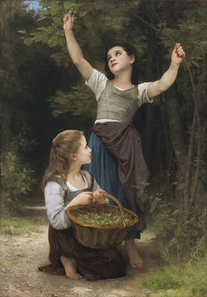 Raccolta delle nocciole